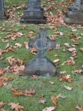 image of grave number 556466